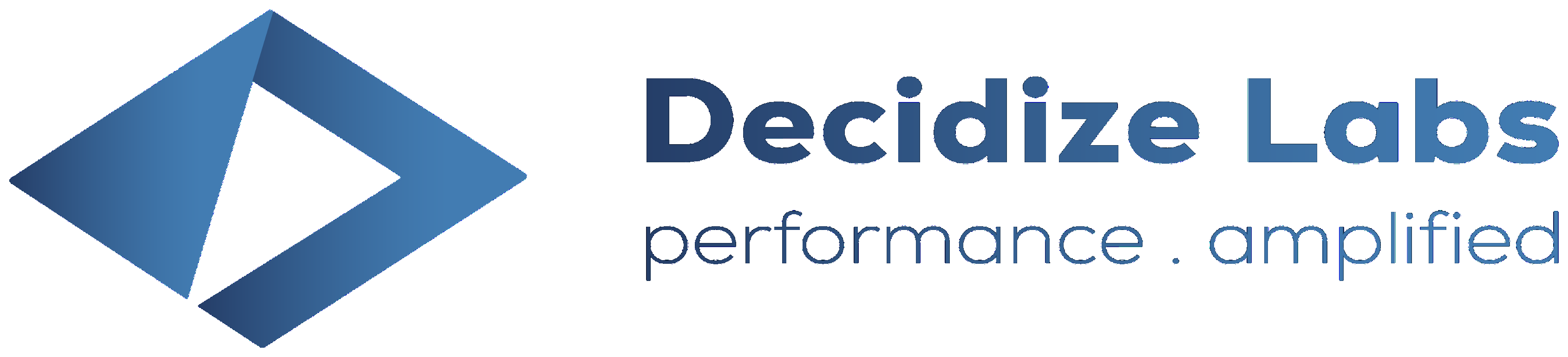Decidize Labs