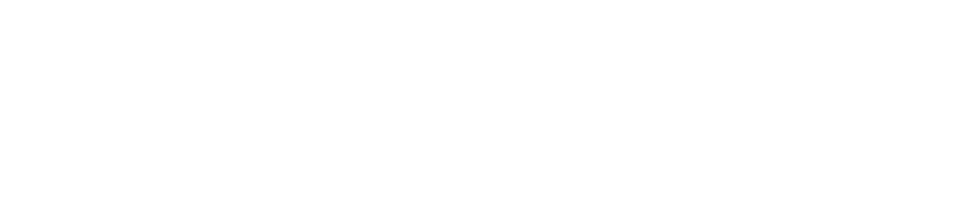 Decidize Labs